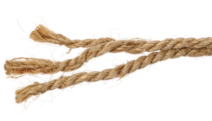 Close-up of frayed rope