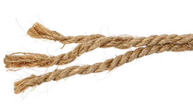 Close-up of frayed rope