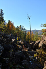 Huge rocks and dry trees at the foot of a steep cliff in the shade from the sun on an autumn day.