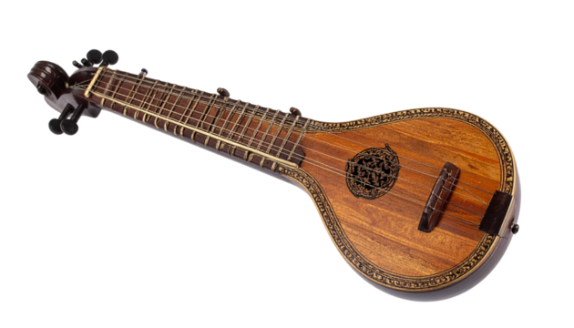Intricate Indian stringed instrument
