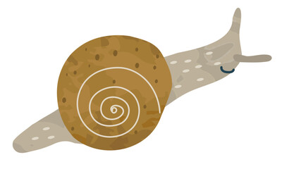 絵本タッチなカタツムリのイラスト