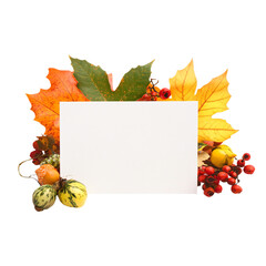 a white card surrounded by autumn leaves and berries