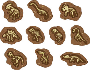 Layer of earth with fossil bones. Archaeological excavations of dinosaur fossils. Studies of ancient animals.