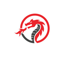 Dragon logo icon vector
