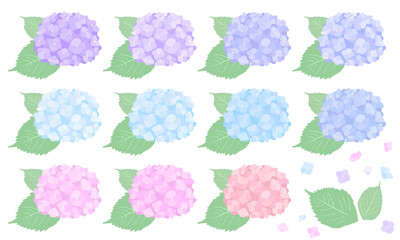 紫陽花のあしらいイラストセット/梅雨の花の素材/シンプルなフラットスタイル