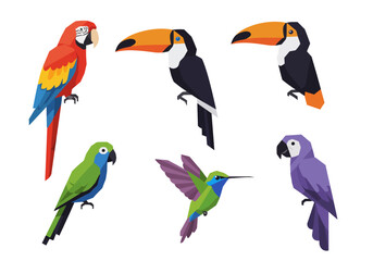 Obraz premium Colorful Geometric Tropical Birds in Flight and Pose
