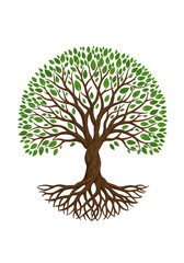 Naklejka premium Lush Green Tree with Intricate Root System Circular Canopy