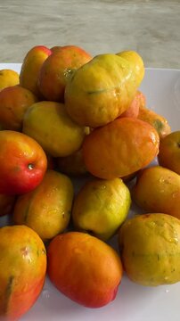 fresh tropical fruit, purple mombin, red mombin, great hog plum, chili plum, and Mexican plum