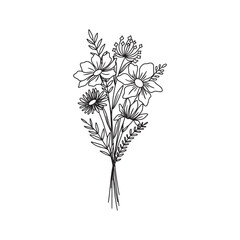 Flower bouquet. Wildflower bouquet vector.. Hand drawn flower, wild plant, botanical vector illustration