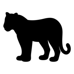 Silhouette of a Standing Big Cat Depicting Animal in Darkness