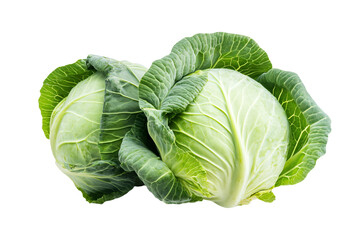 Obraz premium a couple of cabbages sitting next to each other