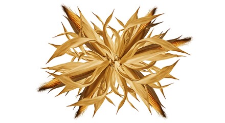 A surreal artwork featuring corn husks unfolding into abstract shapes and lines, centered on a plain white background
