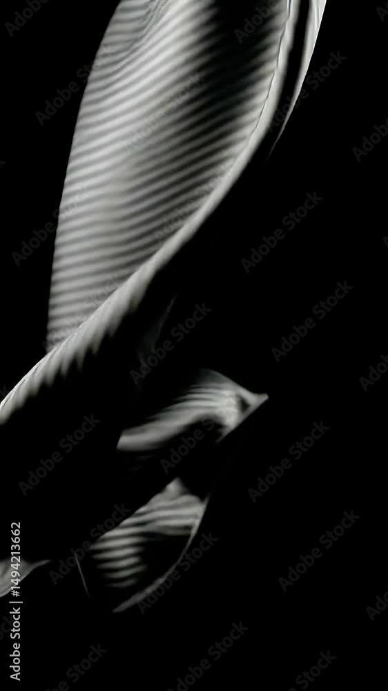 Aufkleber abstract flowing fabric: dark background with light and shadow play