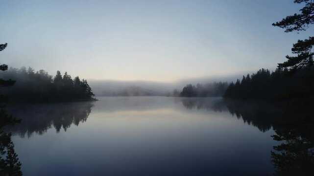 foggy lake with dark trees reflecting on the calm water in early morning light, peaceful and moody nature video perfect for background or meditation visuals