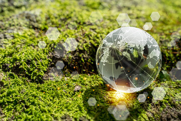 Glass globe with digital world map network on green moss in forest, concept of sustainability and technology