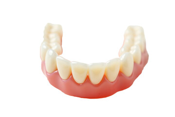 Human dentures and no background