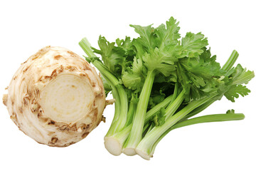 a close up of a celery plant with a white background