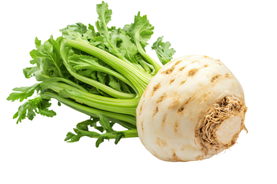 a turnip with leaves on a white background
