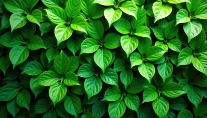 Lush green foliage, vibrant leaves create textured wall, fresh, growth