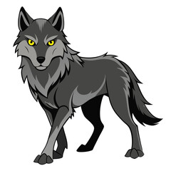 A gray wolf with piercing yellow eyes walks forward  a white background