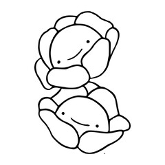 cute smiling cabbage flowers - happy vegetable duo