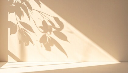 Minimalist background with abstract shadow of leaves and sunlight on beige wall, soft warm tones, clean design, empty space for text