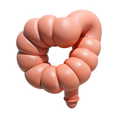 Understanding the human colon: anatomy, function, and digestive health for medical education use case 