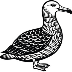 Adobe Illustrator ArtworkTurkey Vulture flying and searching for food
