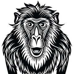 Obraz premium Adobe Illustrator ArtWildlife Animals Concept Thin Line Icon Set contains such icons as Lion, Tiger, Cheetah, Bear, Crocodile, Wolf, Zebra, Elephant, Rhino, Deer, Kangaroo, Monkey, Camel, Giraffe work