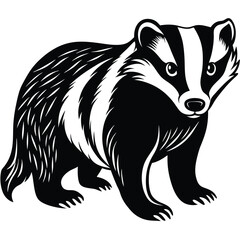 Adobe Illustrator ArtwoVector illustration of zorilla isolated on white background.rk