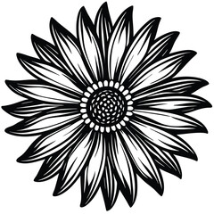 Adobe Illustrator Vector daisy chamomile isolated on white backgroundrtwork