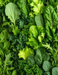 Vibrant Green Leafy Vegetables Arugula, Kale, Romaine, and Collard Greens