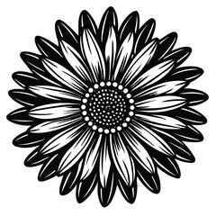 Adobe Illustrator Vector daisy chamomile isolated on white backgroundrtwork