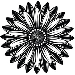 Adobe Illustrator Vector daisy chamomile isolated on white backgroundrtwork