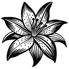 Adobe Illustrator ATrout Lily Flower Continuous Line Drawing with Varying Width Editable Strokertwork