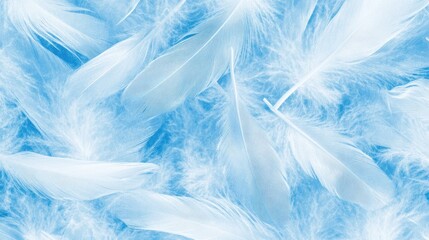 Fototapeta premium A close-up view of many light blue feathers.