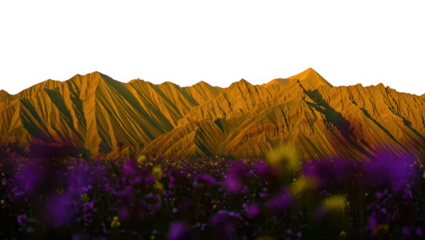 Golden Mountain Range at Sunset with Purple Flowers on Transparent Background