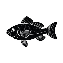 Black and white illustration of a detailed fish isolated on a white background