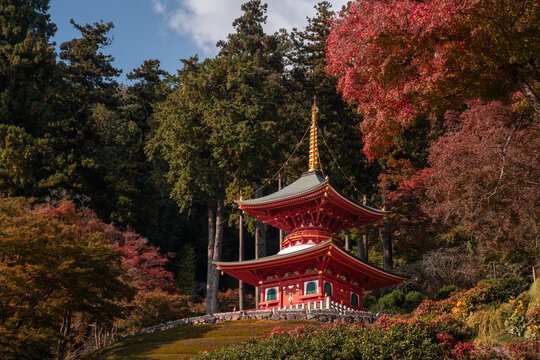 Japanese temple in autumn