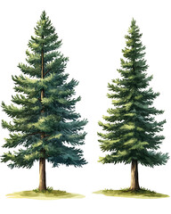 Obraz premium Highly detailed illustrations of various trees, leaves, grasses, and botanical elements, featuring realistic, minimalist, and abstract compositions on a white background.