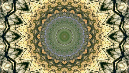 Kaleidoscopic Pattern