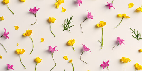 Yellow and purple flowers, green leaves on pastel beige background, minimal pattern, aesthetic floral flat lay banner. Beautiful nature still life with wildflowers bellflower and Ranunculus