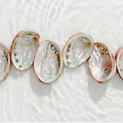 Set of abalone seashells floating on clear white water with sun glare and waves. Shells of natural...