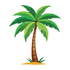 plant coconut tree color vector tree