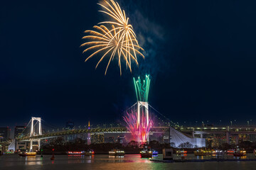 冬の花火　お台場レインボー花火