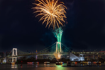 冬の花火　お台場レインボー花火