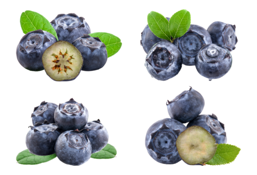 fresh blueberries with leaves on transparent background