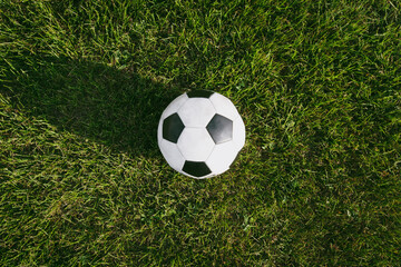 Top view. Soccer football on green grass field,