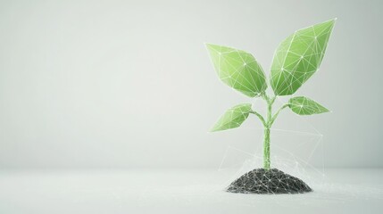 Geometric plant growing, studio, white background, network, sustainability