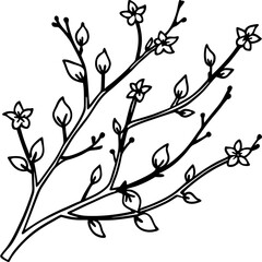 Spring Blossom Branches Silhouette on White Background